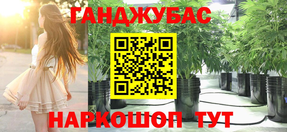 Шишки марихуана индика  МАРИХУАНА Amnesia  Хабаровск  Вход с VPN  Бошки марихуана марихуана 